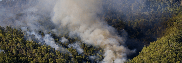 Forest Fire Smoke Precautions for People With Asthma, COPD, and Breathing Concerns