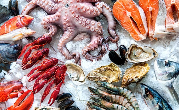 Seafood