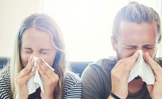 Springs Allergies